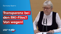 Im Bayerischen Landtag - AfD, MdL