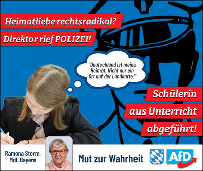 Kachel Ecke AfD, MdL