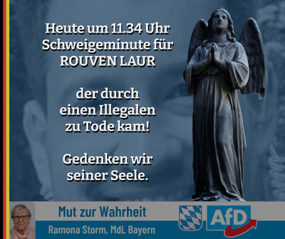 Kachel Ecke AfD, MdL