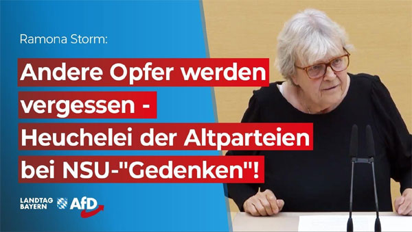 Im Bayerischen Landtag - AfD, MdL