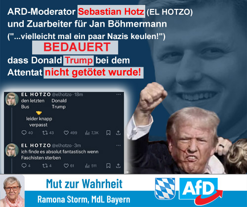 Kachel Ecke AfD, MdL