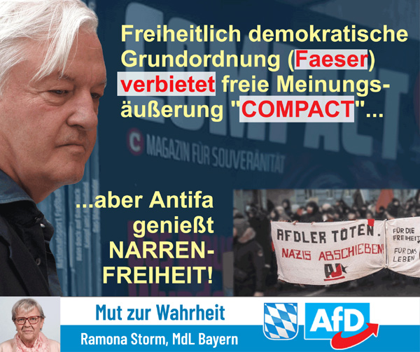 Kachel Ecke AfD, MdL