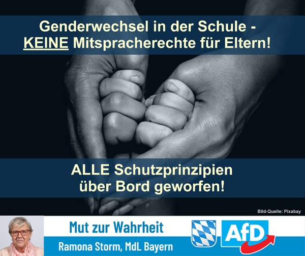 Kachel Ecke AfD, MdL