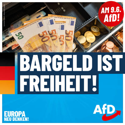 Kachel Ecke AfD, MdL