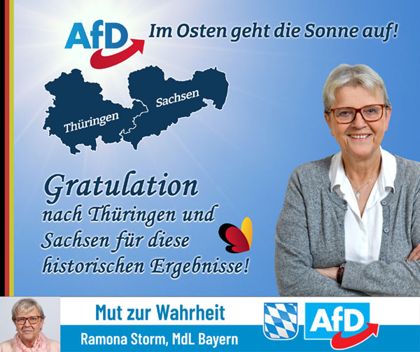 Kachel Ecke AfD, MdL