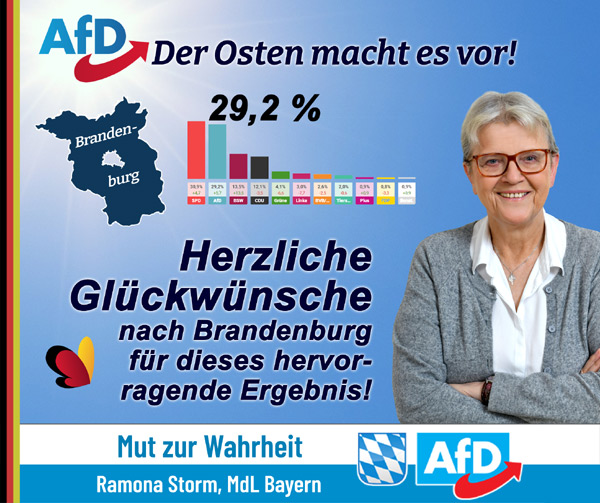 Kachel Ecke AfD, MdL