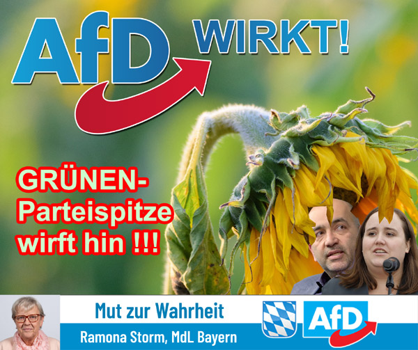 Kachel Ecke AfD, MdL