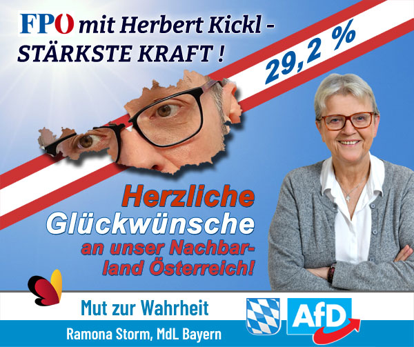 Kachel Ecke AfD, MdL