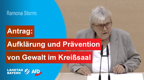 Im Bayerischen Landtag - AfD, MdL