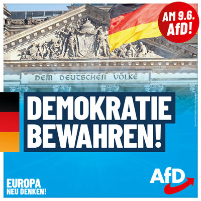 Kachel Ecke AfD, MdL