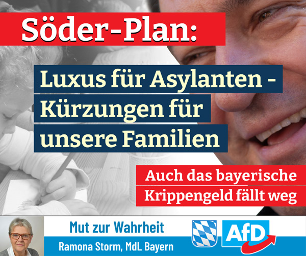 Kachel Ecke AfD, MdL