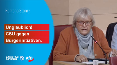 Kachel Ecke AfD, MdL