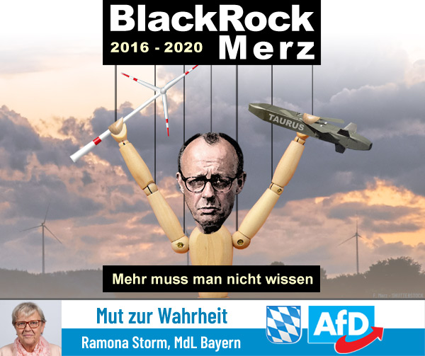 Kachel Ecke AfD, MdL