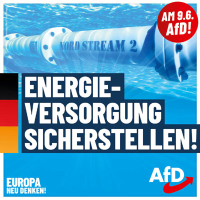 Kachel Ecke AfD, MdL