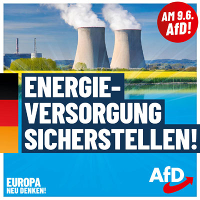 Kachel Ecke AfD, MdL