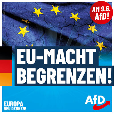 Kachel Ecke AfD, MdL