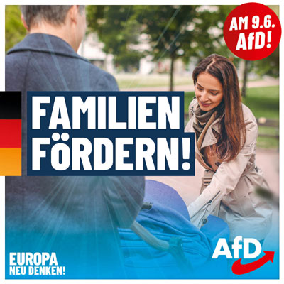 Kachel Ecke AfD, MdL