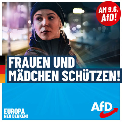 Kachel Ecke AfD, MdL