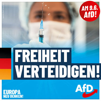 Kachel Ecke AfD, MdL