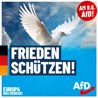 Kachel Ecke AfD, MdL