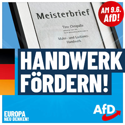 Kachel Ecke AfD, MdL