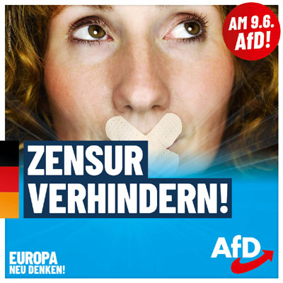 Kachel Ecke AfD, MdL