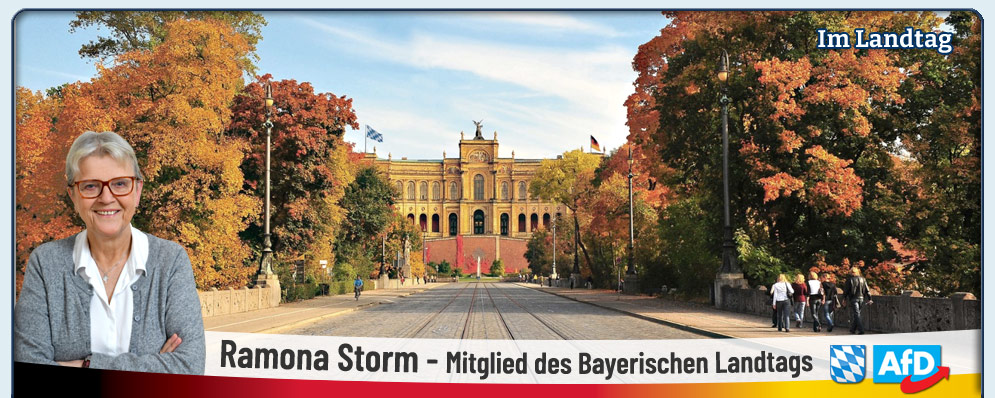 Storm Mitglied des bayerischen Landtag