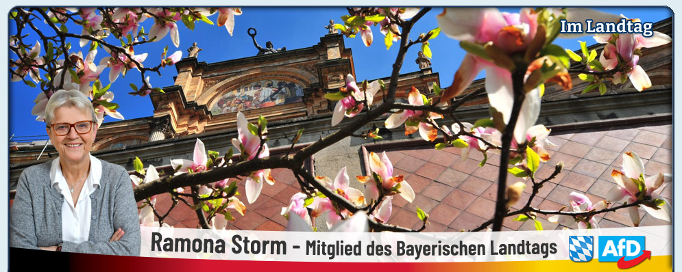 Storm Mitglied des bayerischen Landtag